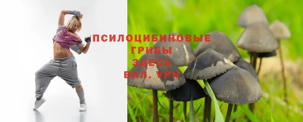 MESCALINE Козловка