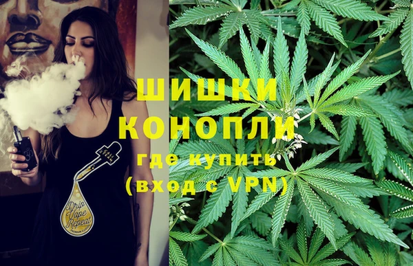 2c-b Кодинск