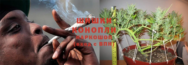 гидра Коряжма