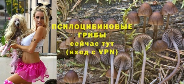 mdma Козельск