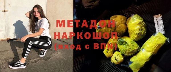 стаф Корсаков